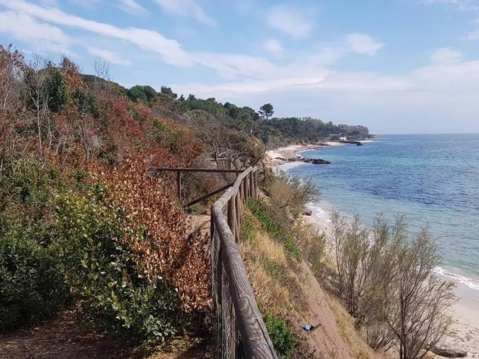 Mare e Pineta-Drinnen