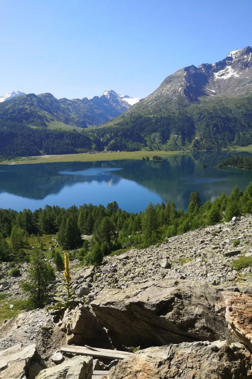 4 Bettwohnung-Image-tags.info