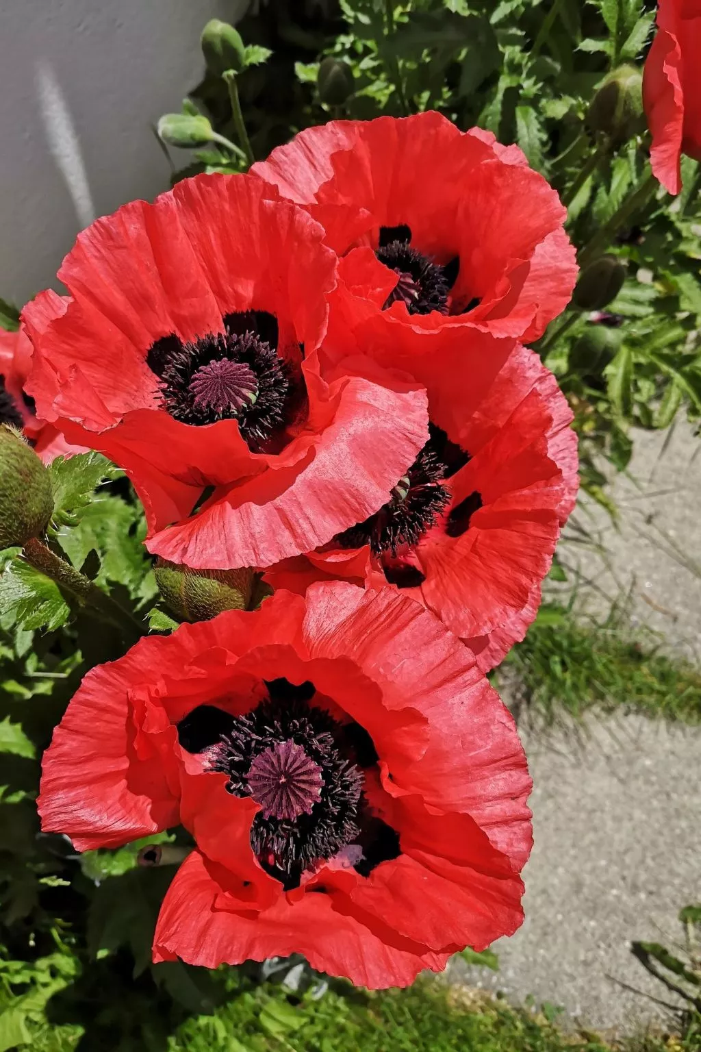 2,5 Bettwohnung-Draußen