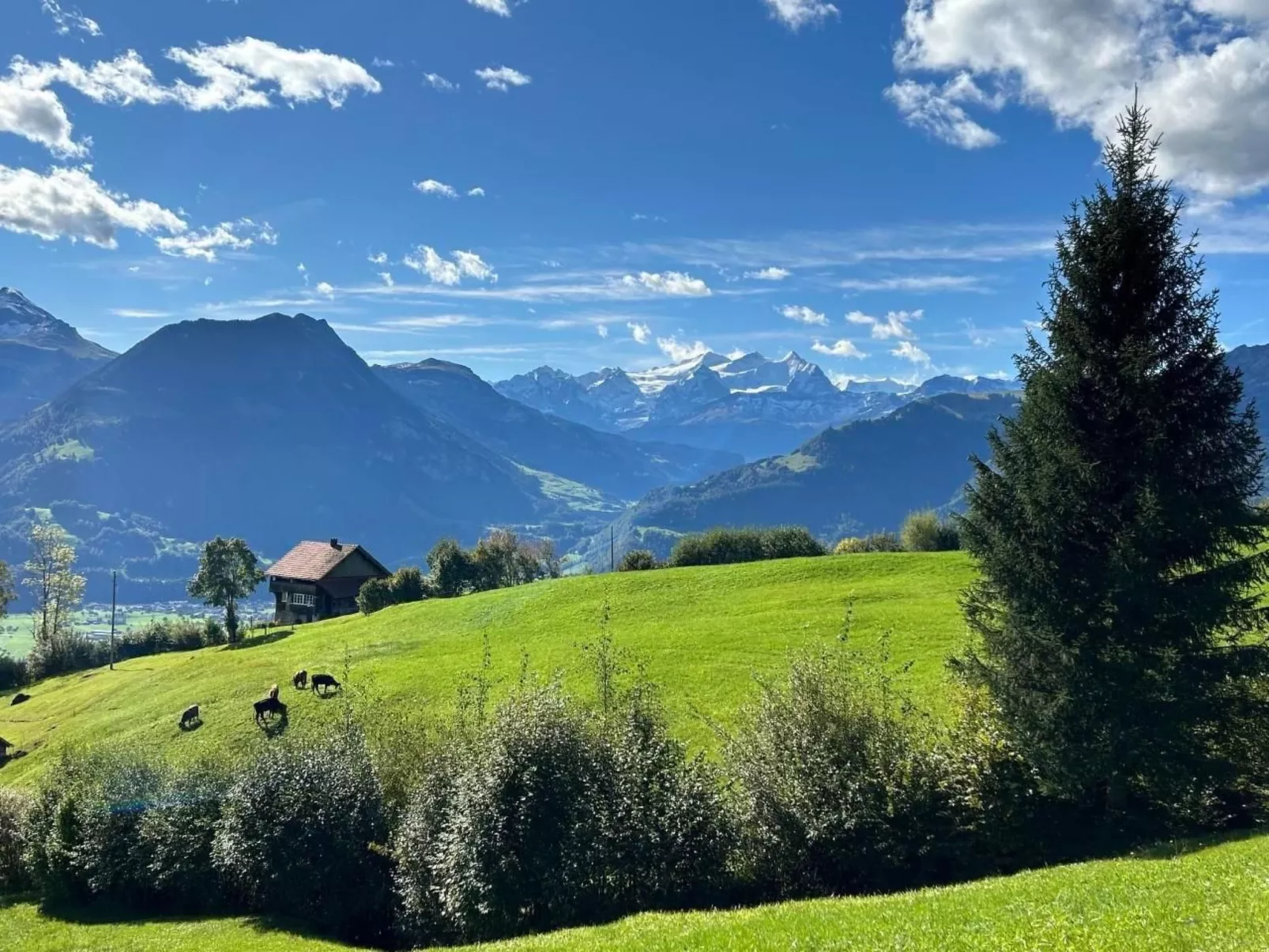 Stockenmatt Haus 2, Wohnung 22 - Outside