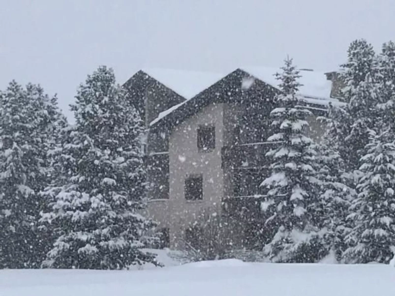 Chesa Arnica 3-Image-tags.info