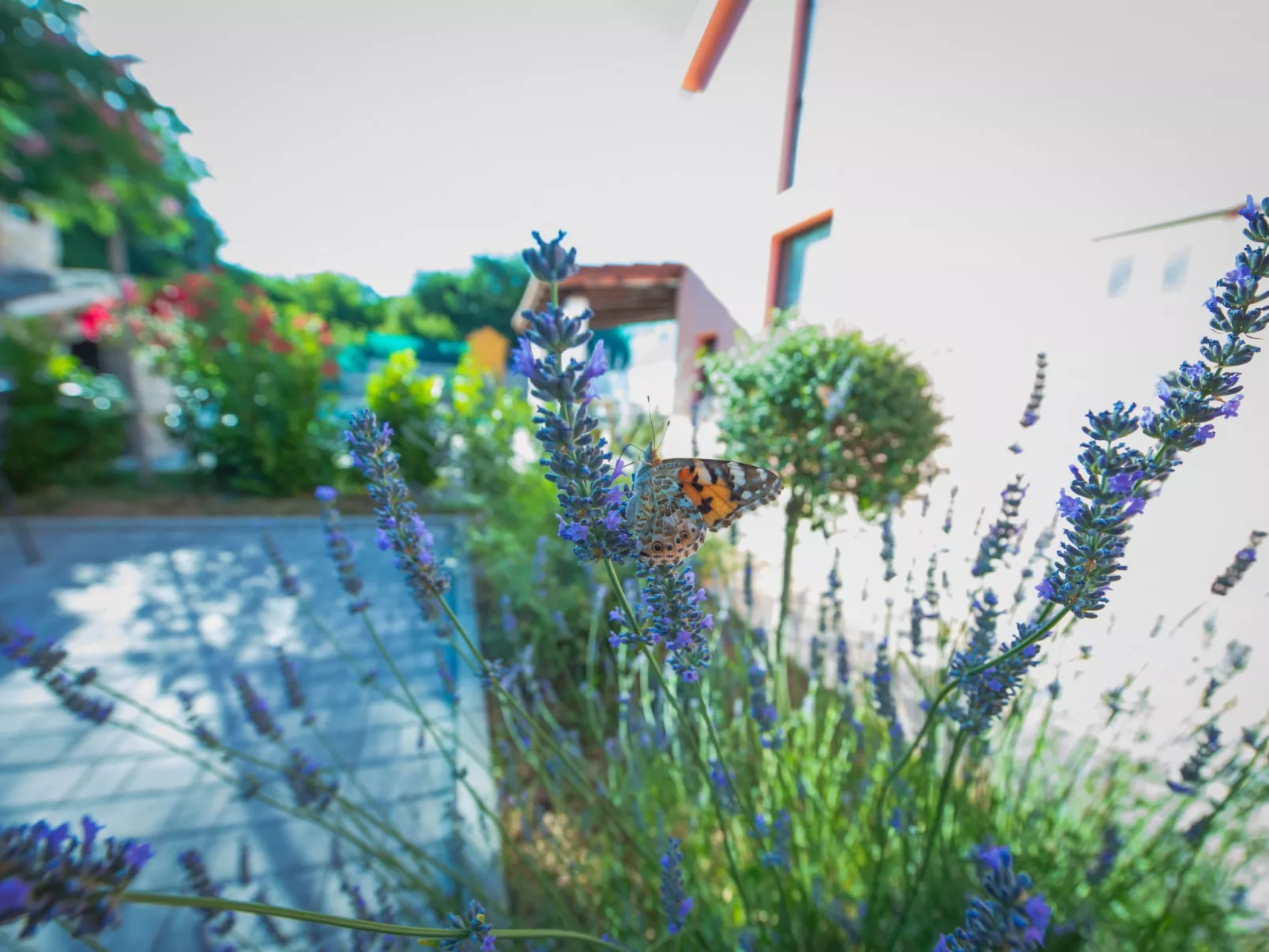 Haus in Grubine mit Außenpool-Draußen