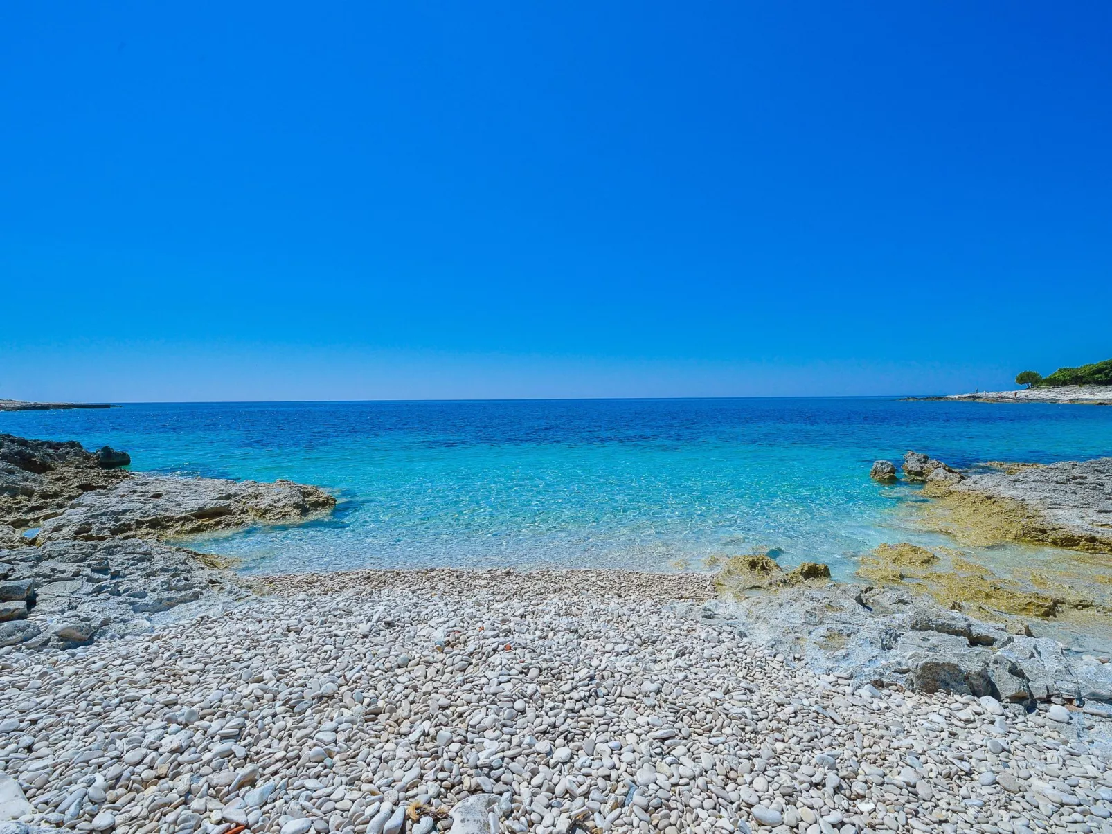 "Sakarun" mit Blick auf das Wasser-Image-tags.info