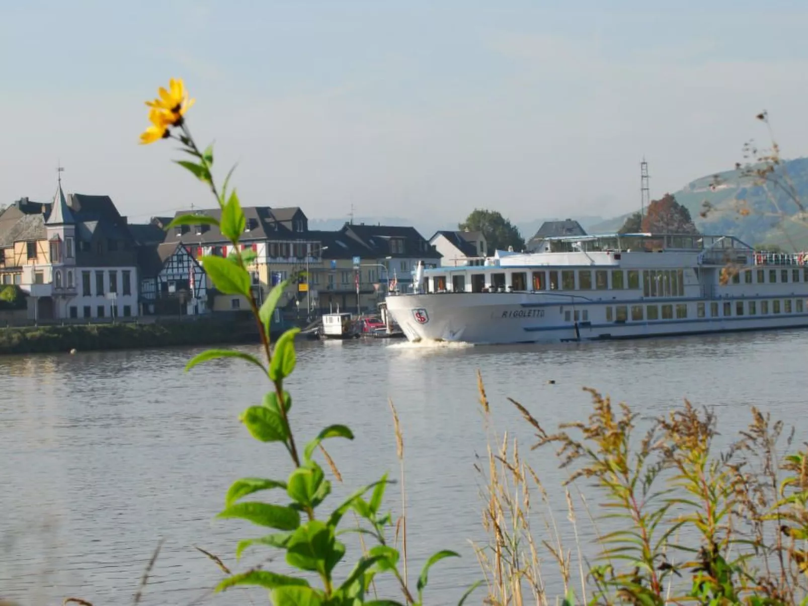 Gerä¤umige Ferienwohnung in Lay am Moselhang-Image-tags.info