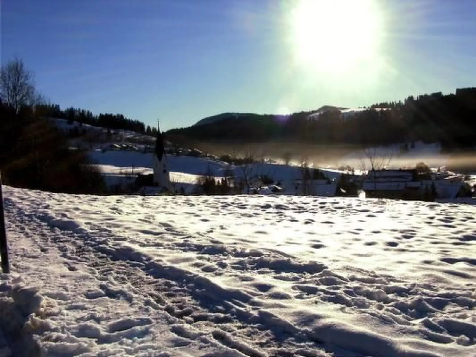 Alpkönig - Draußen