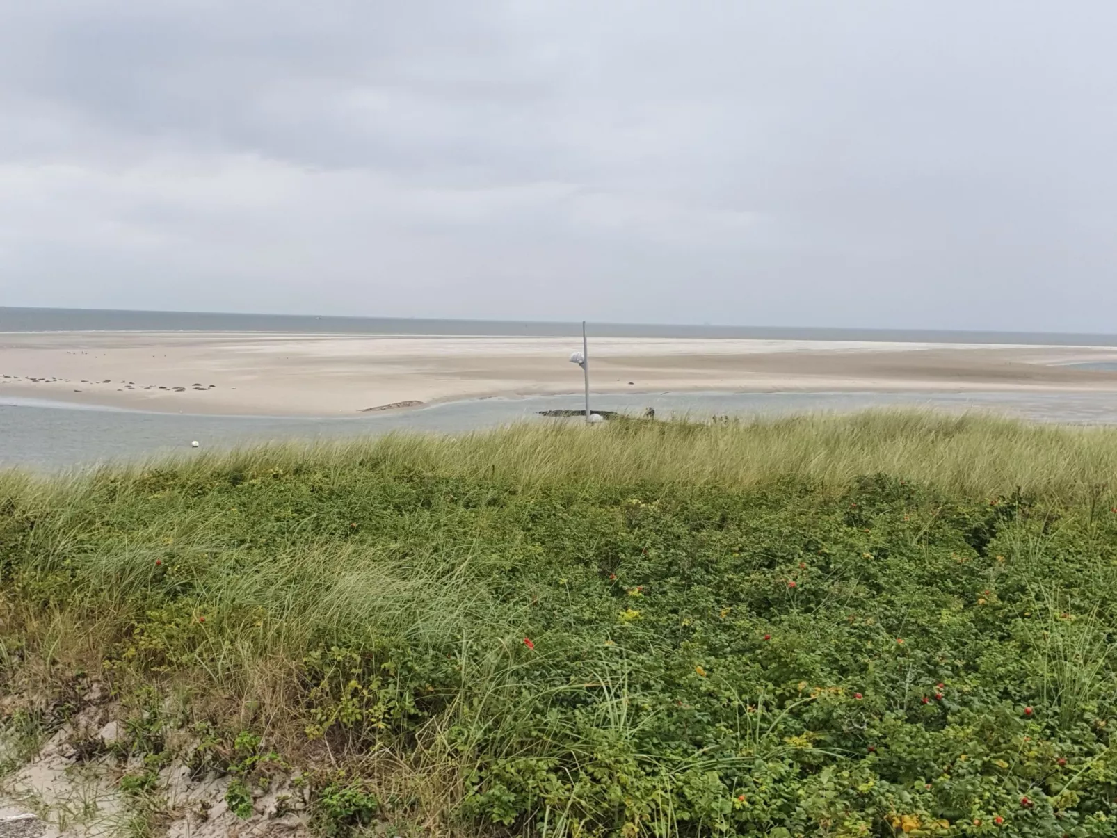 Apartment mit Terrasse am Südstrand-Outside