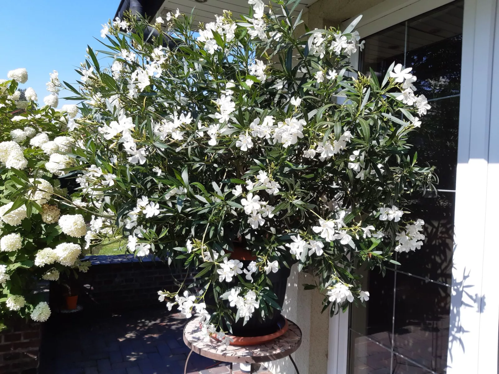 In ruhiger Lage am Waldrand-Outside