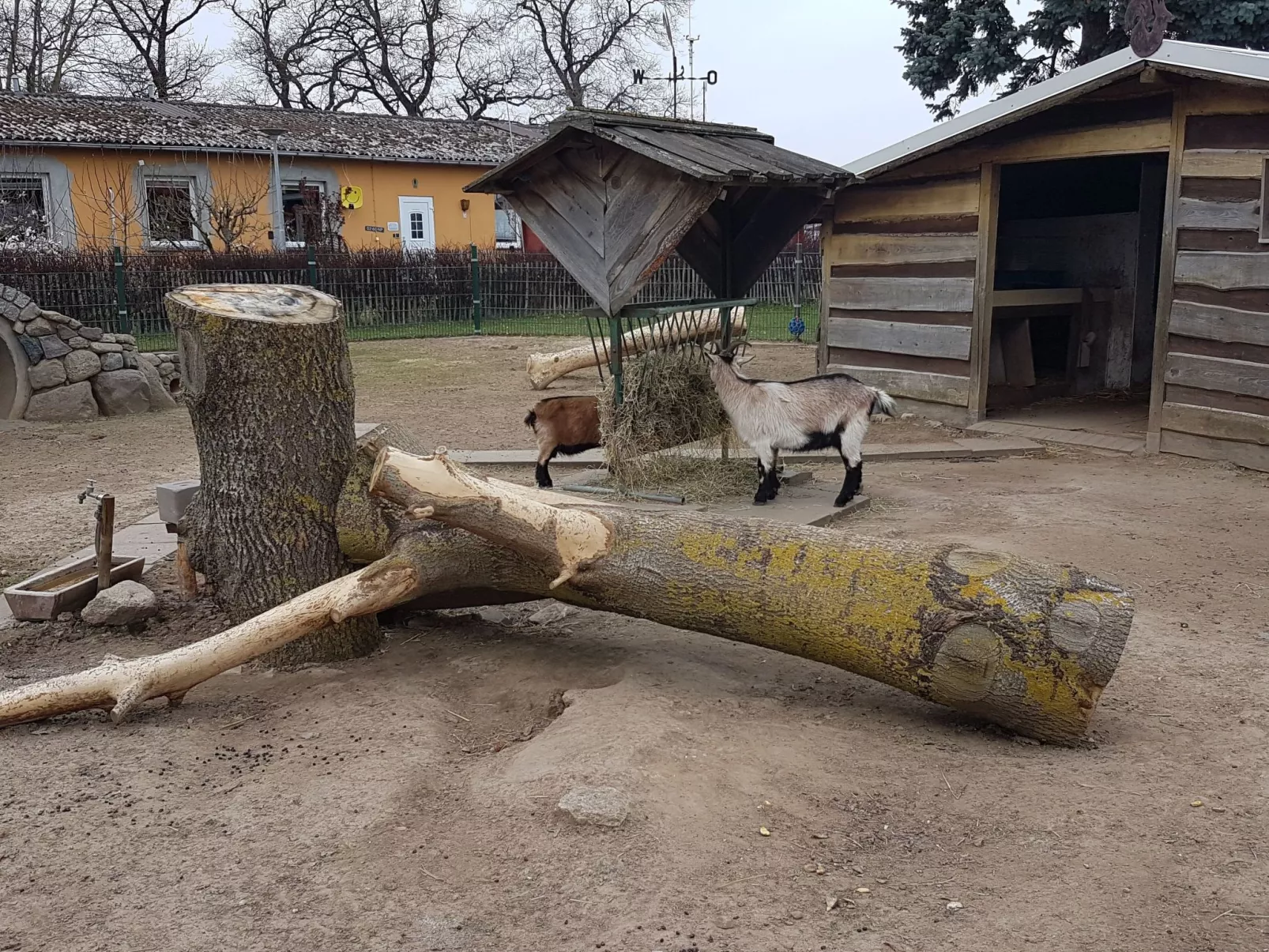 Gemütliches Schwedenhäuschen mit Terrasse-Draußen