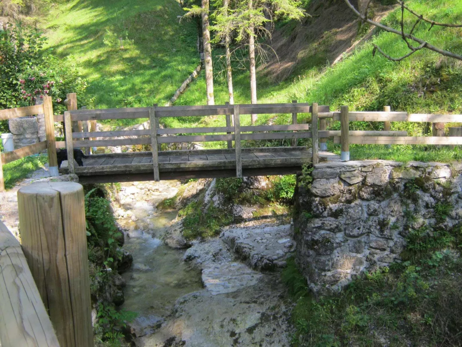 Geräumiges Ferienhaus inmitten der Natur-Draußen