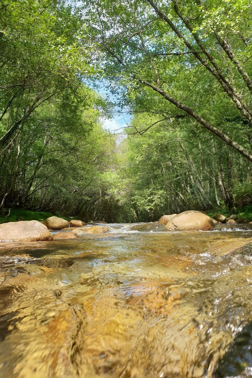 Haus jenseits des Flusses-Draußen