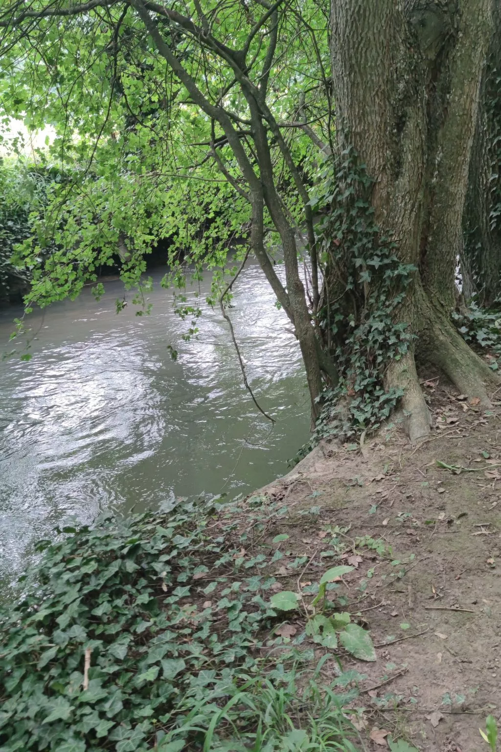 Gesellige Momente in der Nähe von Disneyland Paris-Image-tags.info