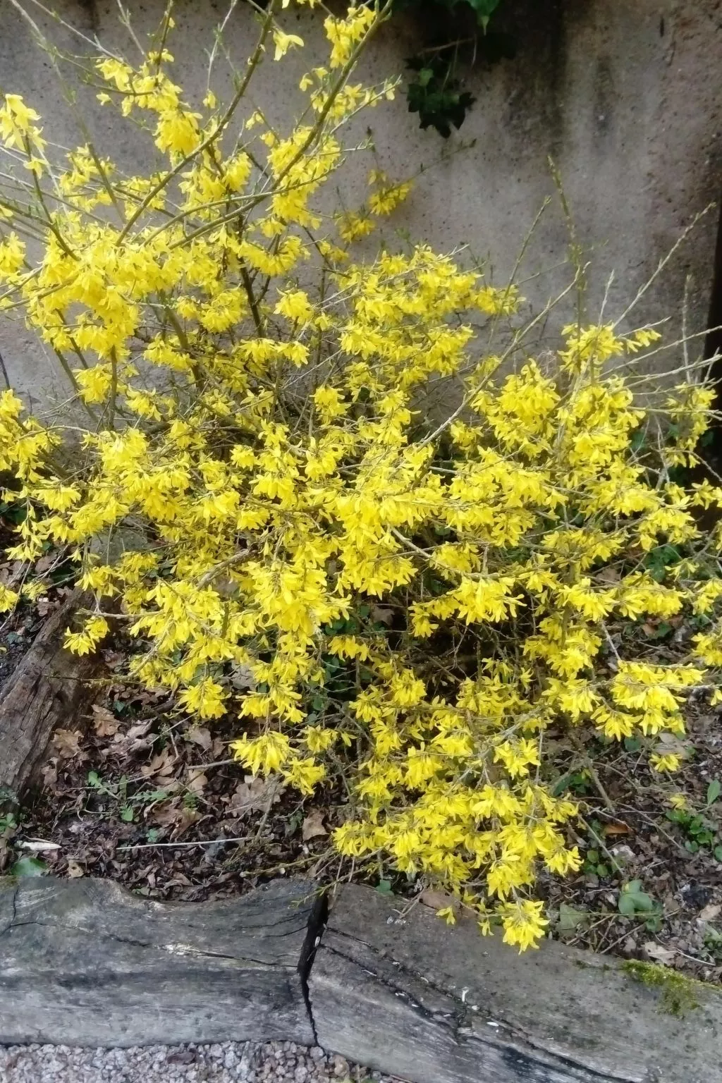 Fachwerkhaus "la maison de vacances" "-Draußen