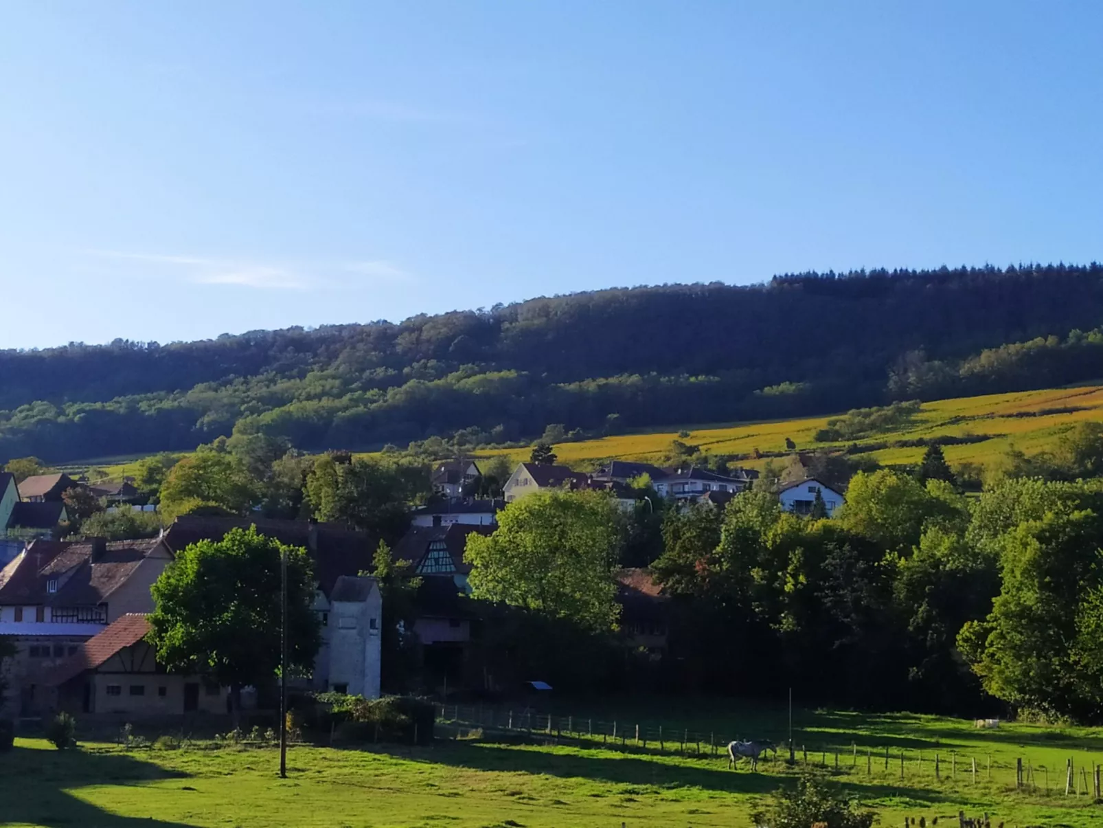 Haus in der Nähe von Straßburg mit privatem Spa-Image-tags.info