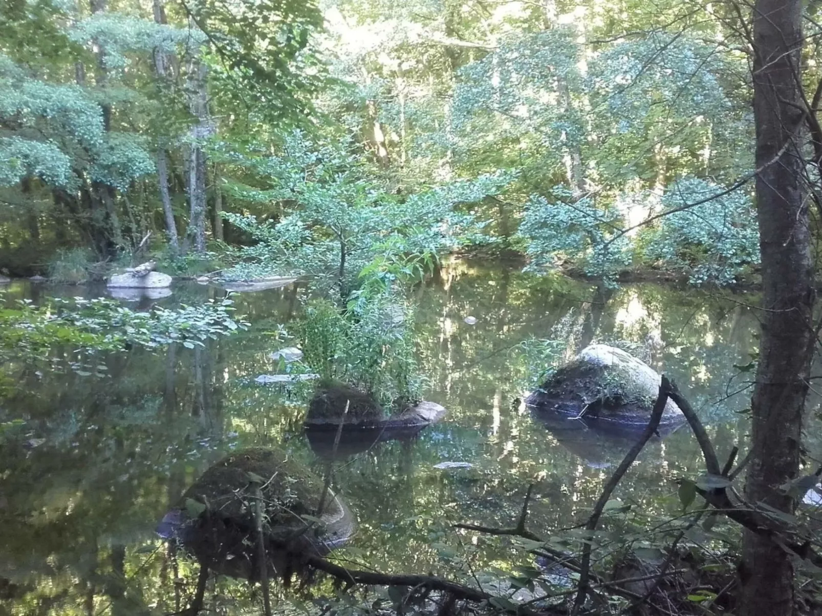 LA CABANE DES REVES-Dehors