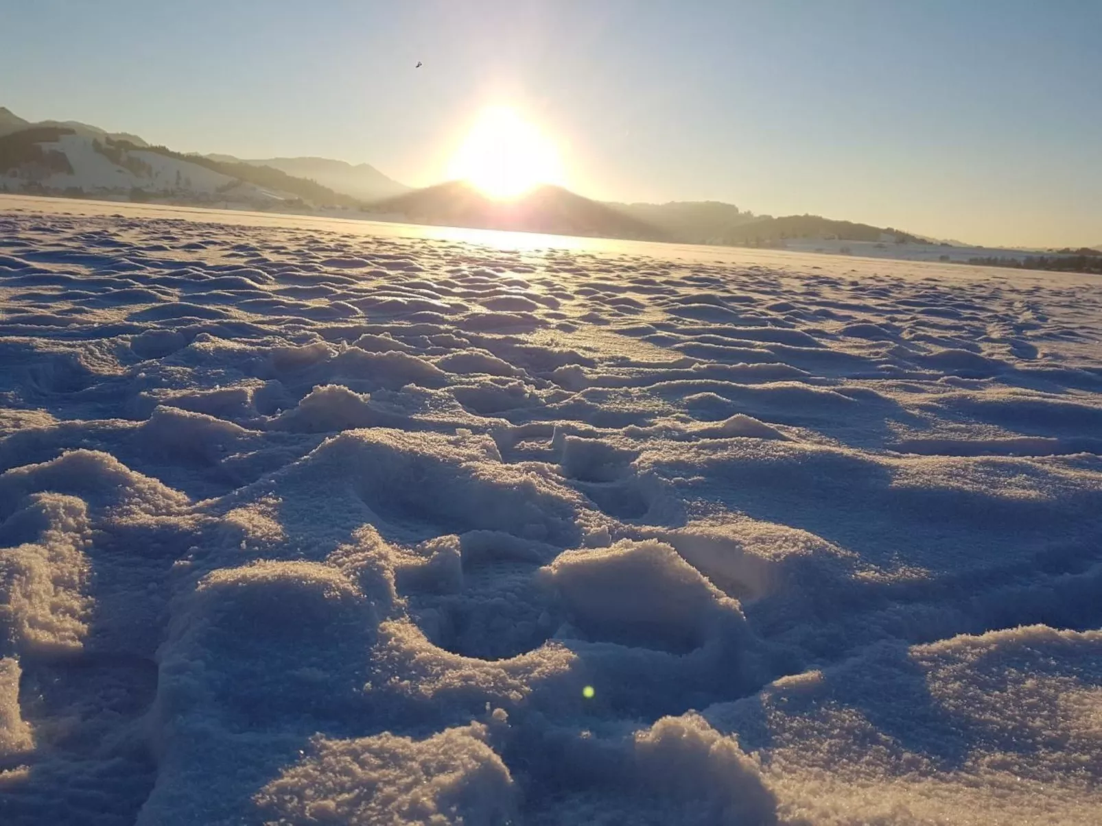 Biohof Tanngarten-Dehors
