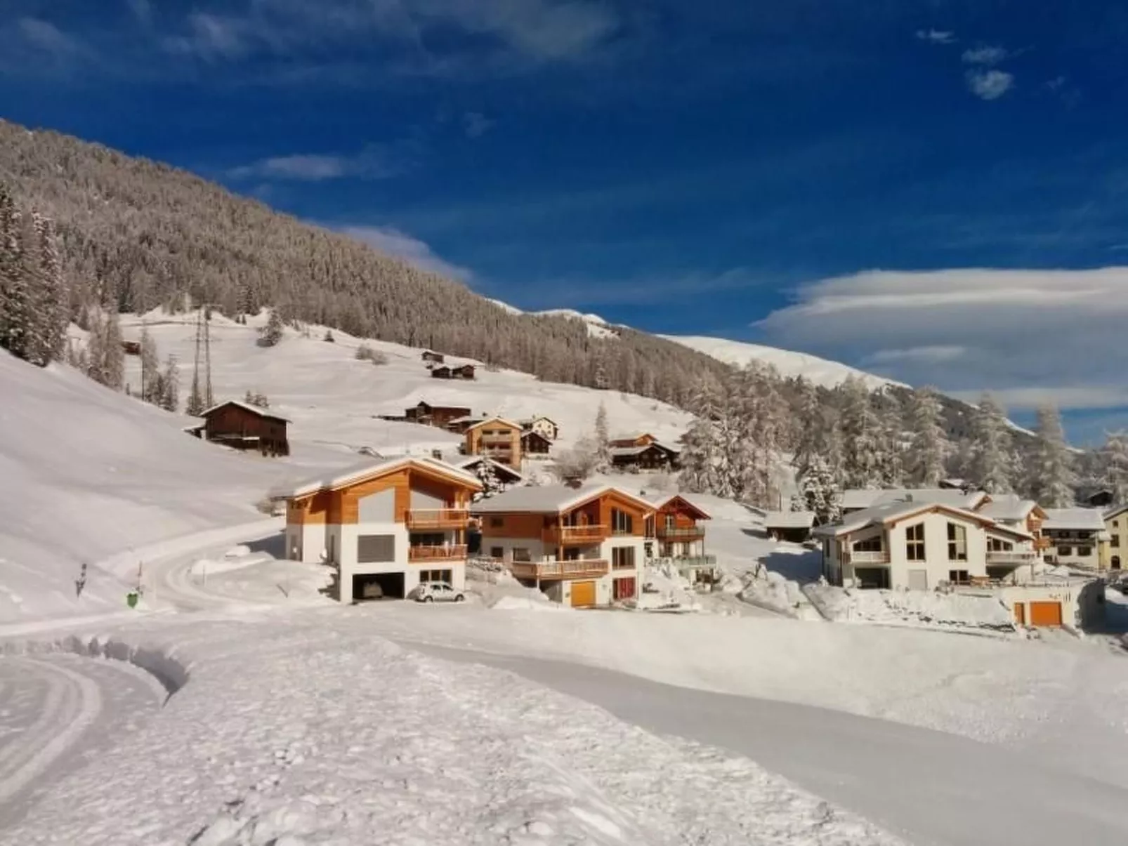 Chalet-Davos