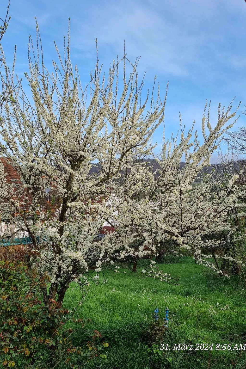 Le Château d'Eau-Outside