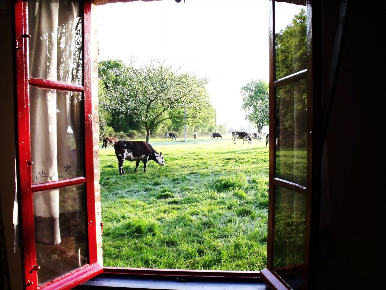 "La Petite Cauvinière"-Draußen