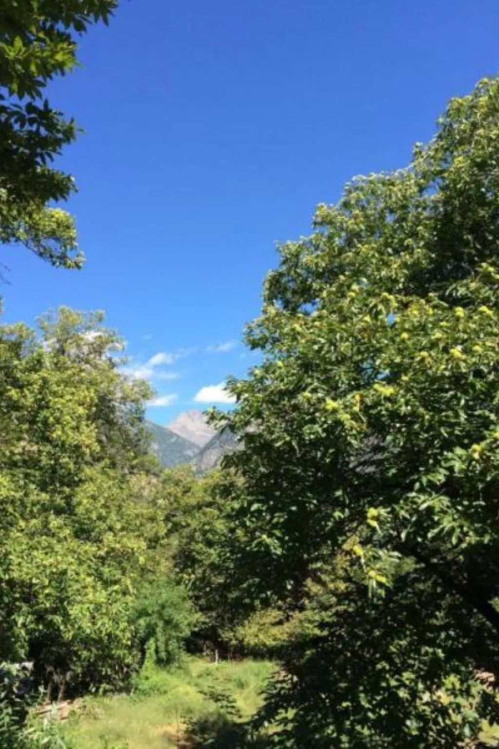 Weg von der Zuvielisation-Draußen