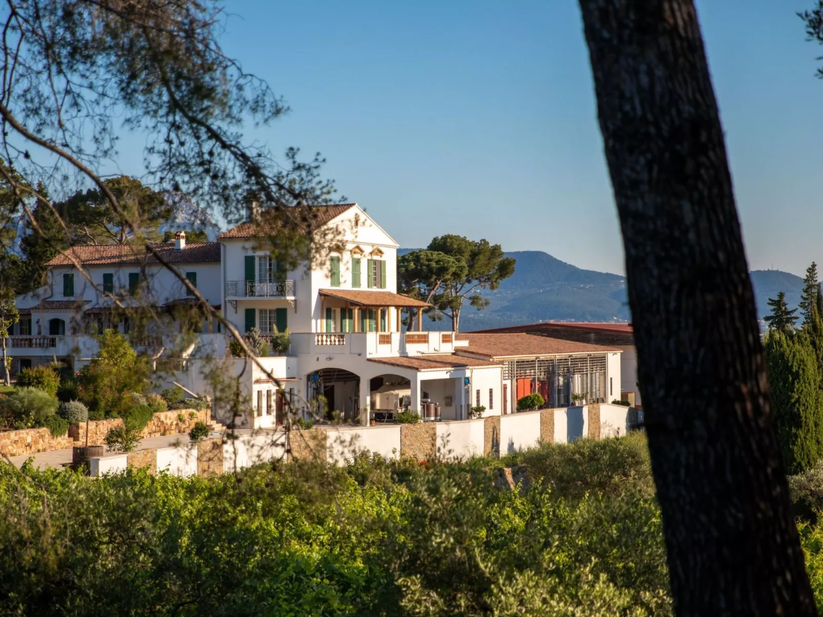 Im Herzen eines Weinguts, Terrasse und Balkon mit Bergblick, Schwimmbad - Draußen
