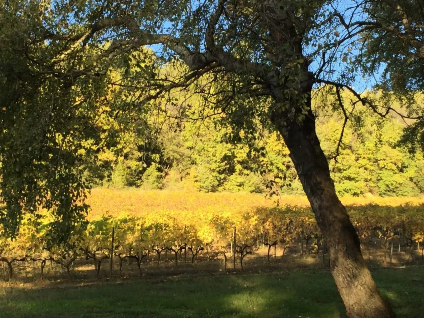 "Eutherpes Haus"-Draußen