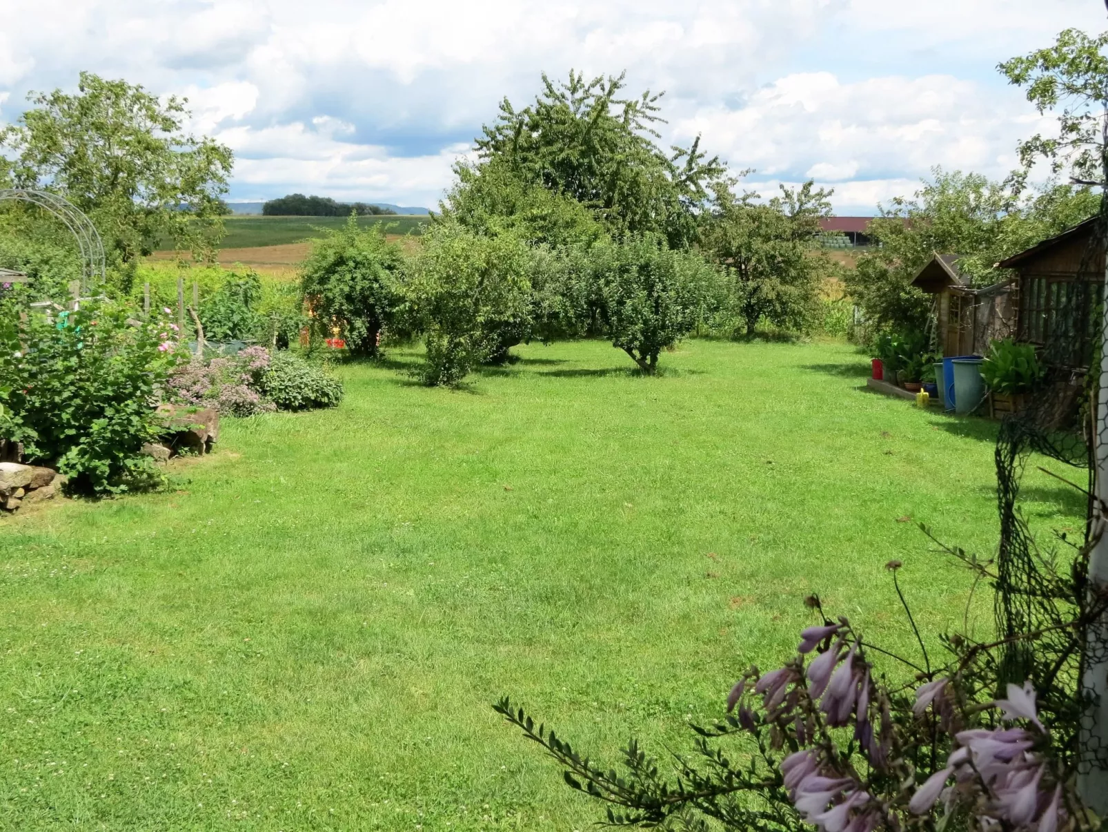 Gemütliches Appartement in Betschdorf-Outside