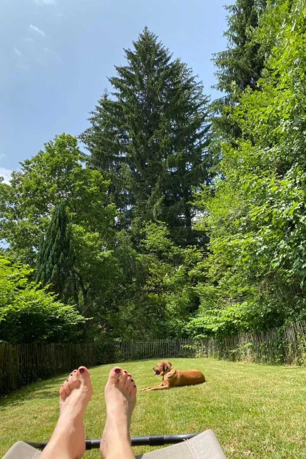 In Ventron mit eingezäuntem Garten-Outside