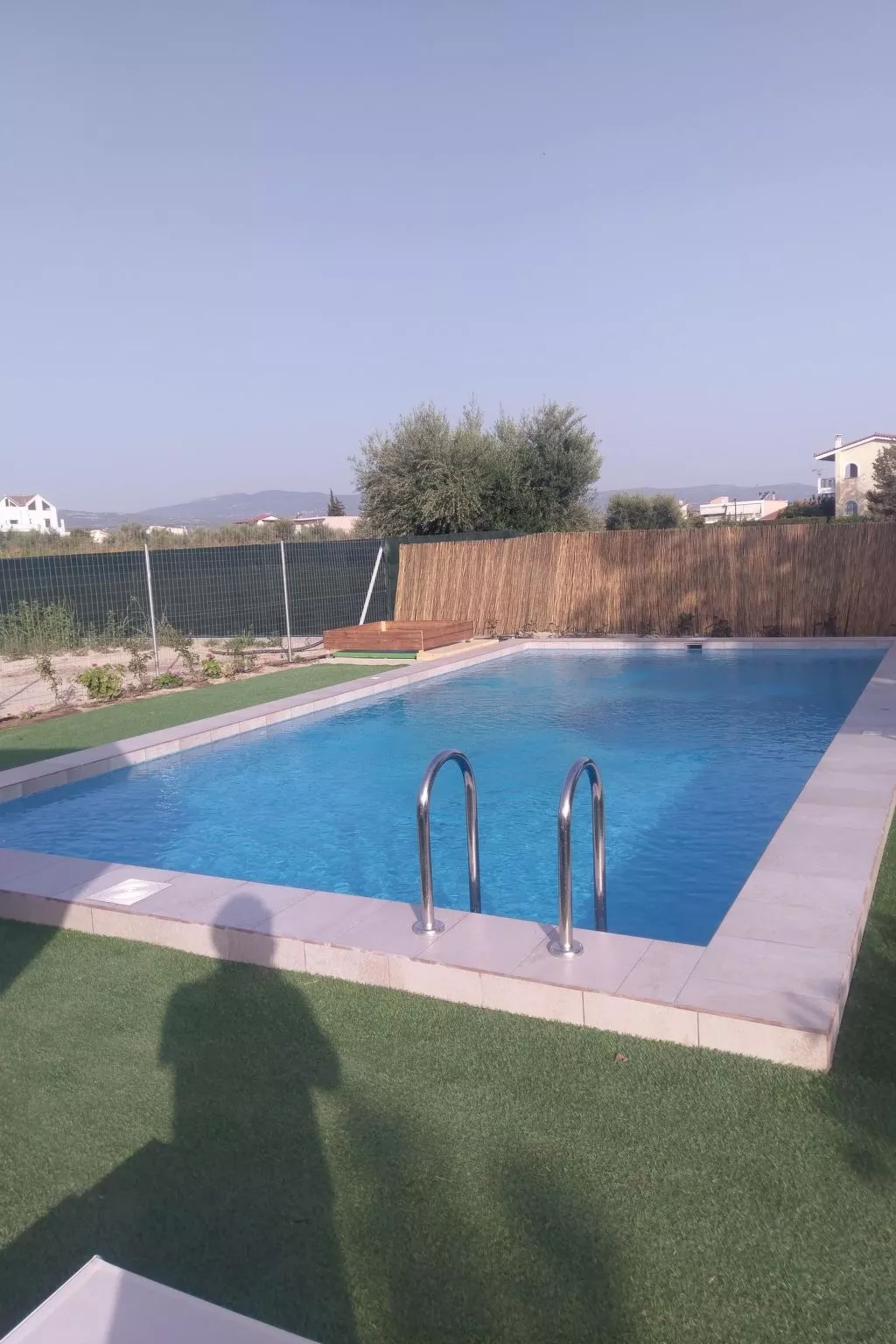 Neben Orangenbaum-Obstgarten-Outside