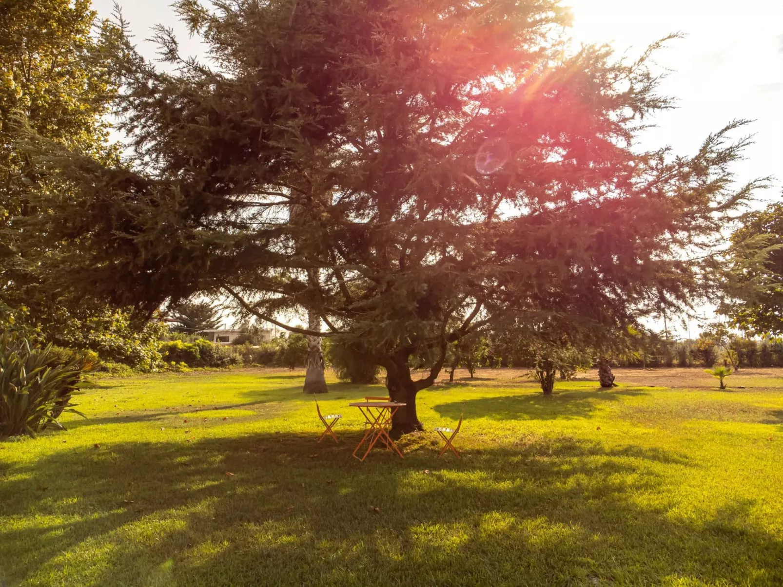 Elea resort preveza-Dehors