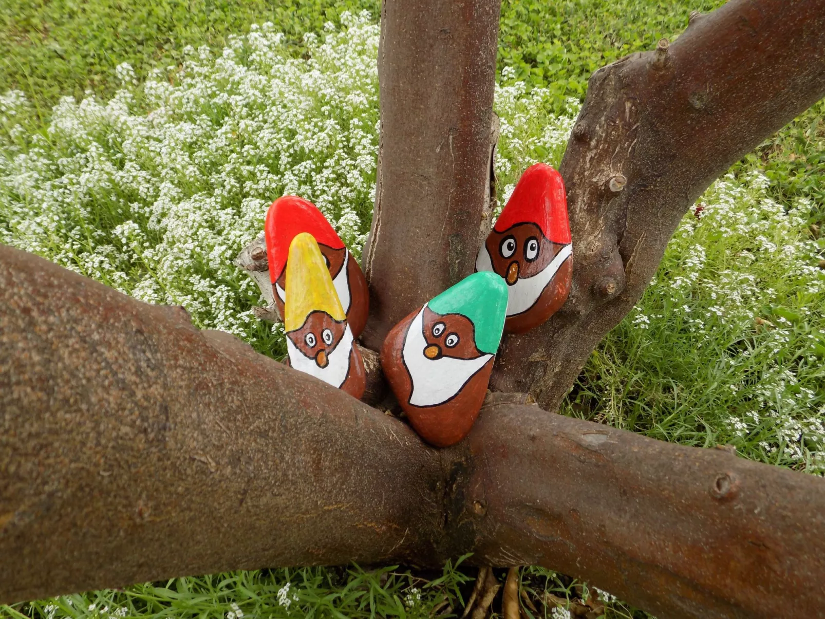 "Villa Rodon" mit privatem Pool-Image-tags.info