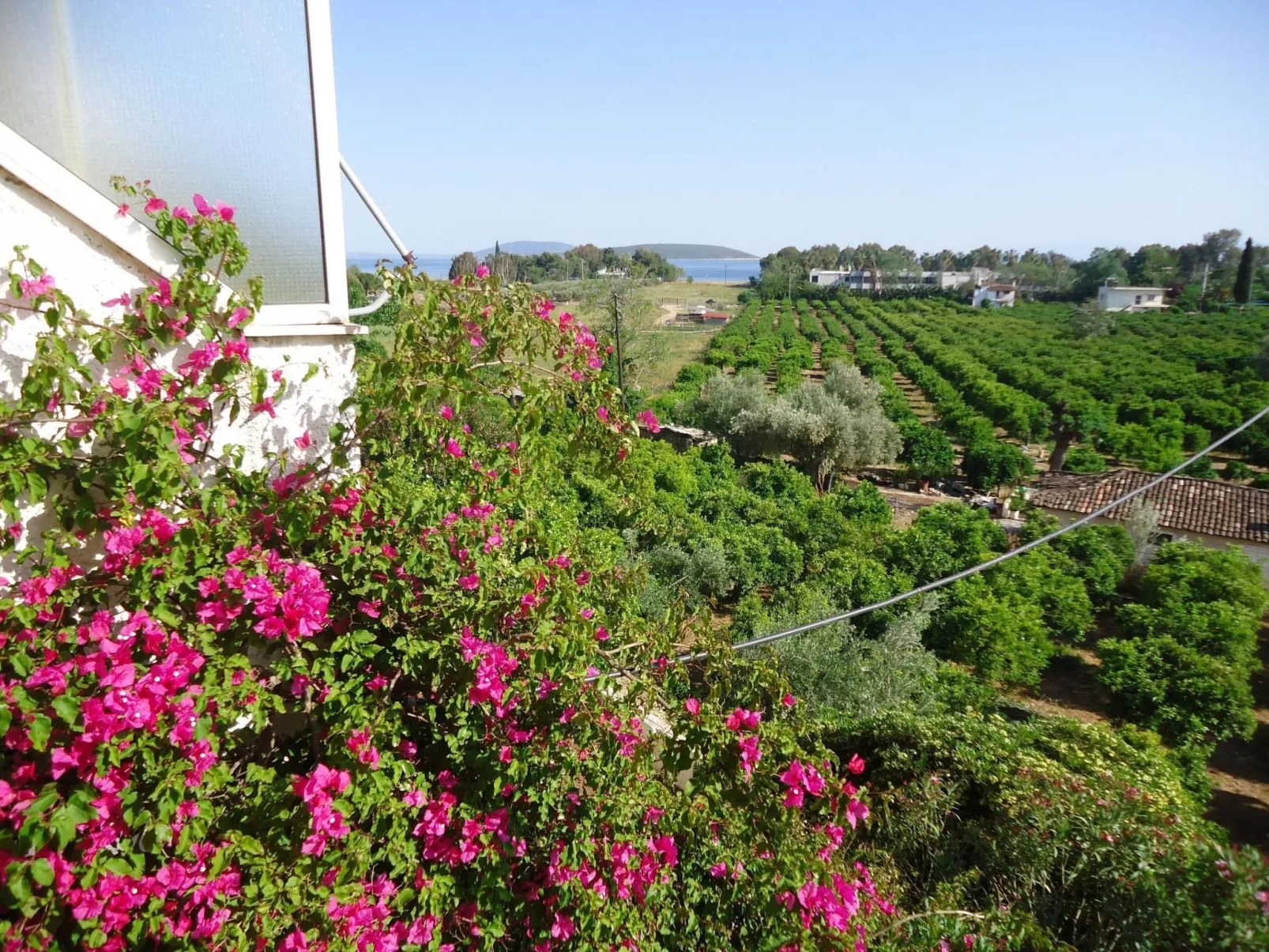 Wohnung mit großem Balkon und herrlichem Meerblick-Dehors
