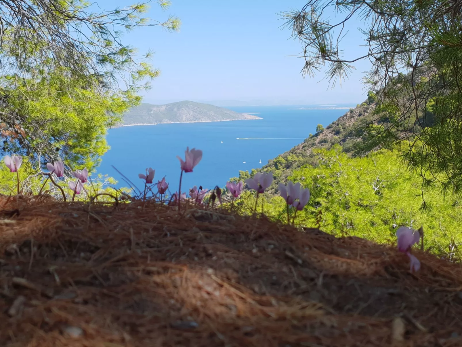 "Villa Newlands" - Pool, Meer und Inseln-Outside