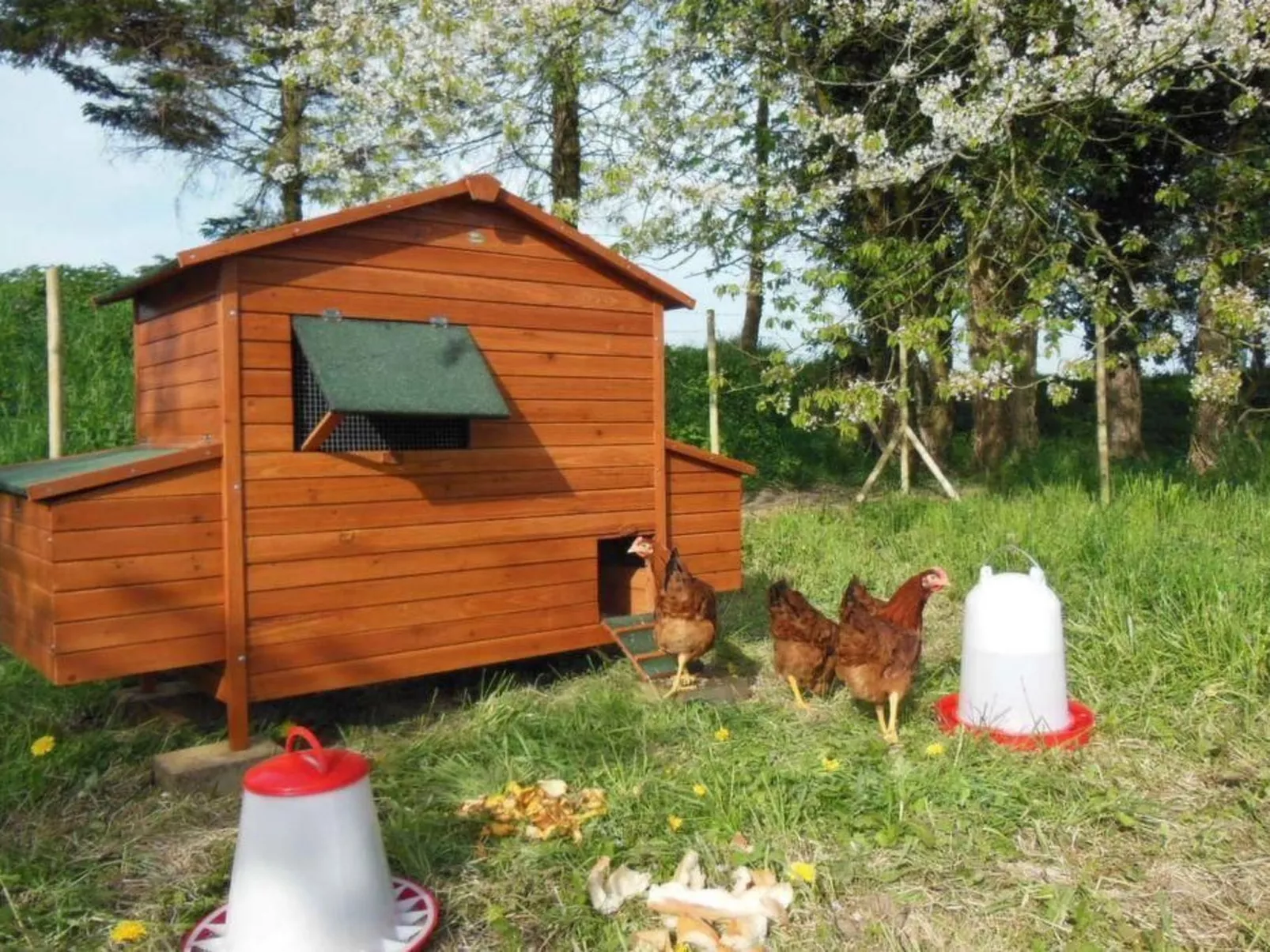 Für acht Personen-Draußen