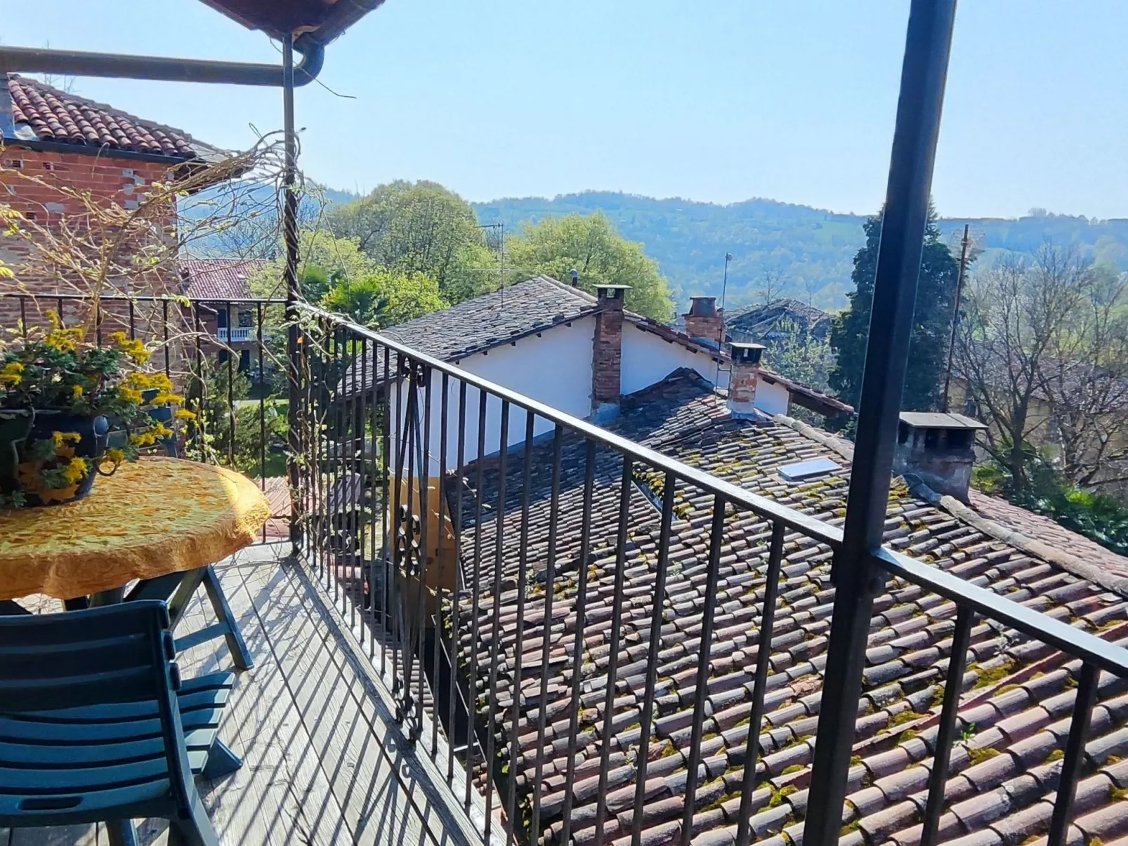 Vergissmeinnicht-Outside