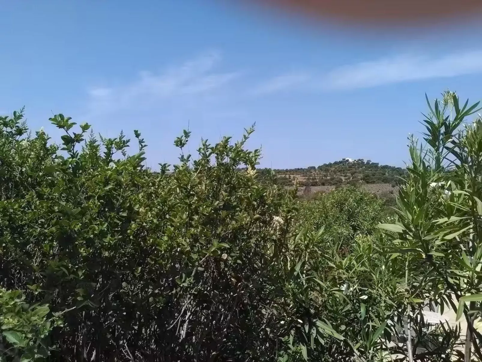 "brigitte" mit Pool-Draußen