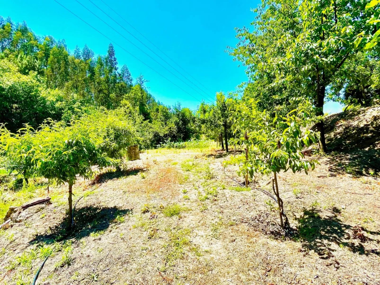 Charmantes Haus in Penafiel Douro-Tal-Outside