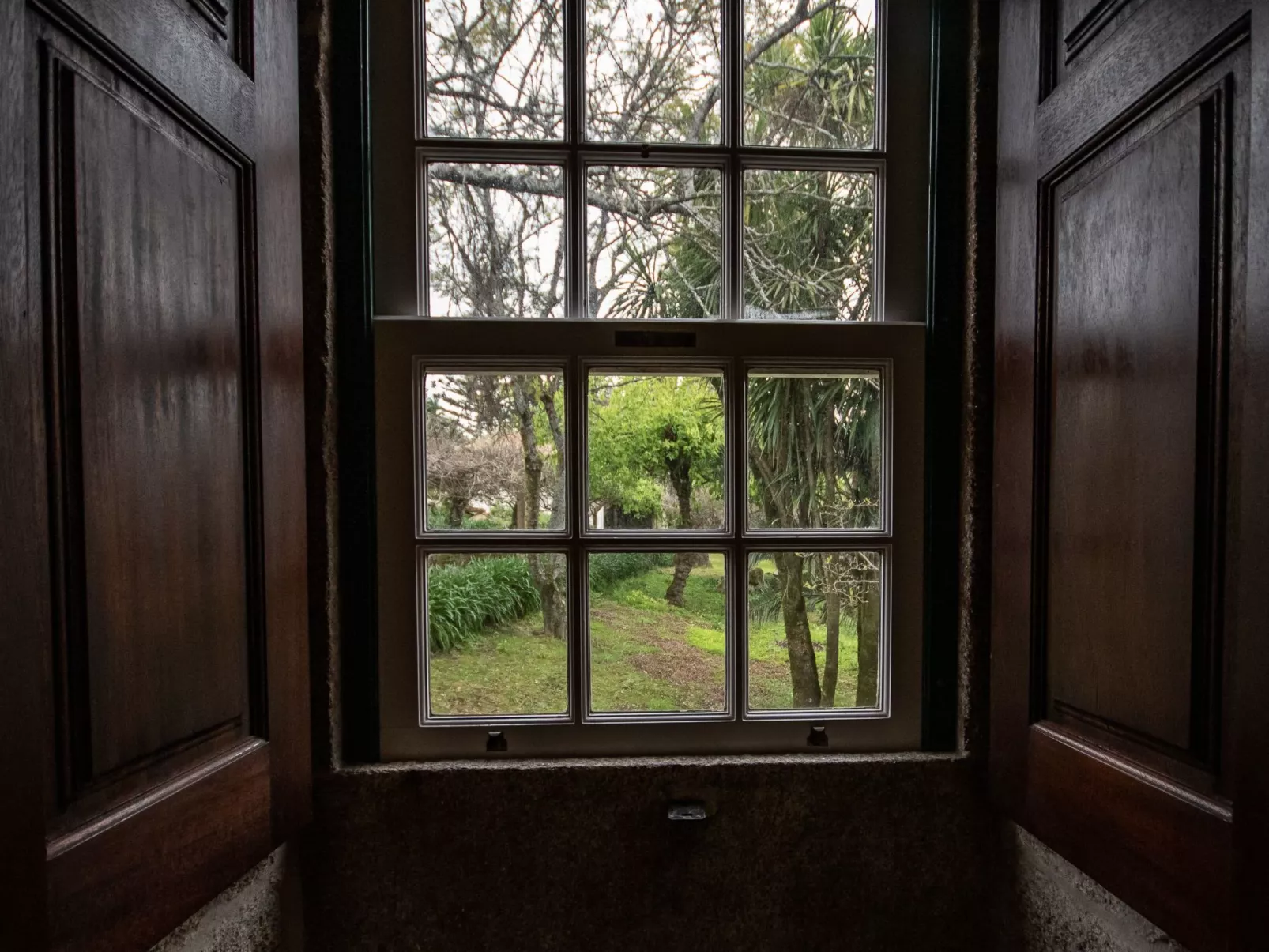 Finca "Quinta do Bento Novo"-Inside