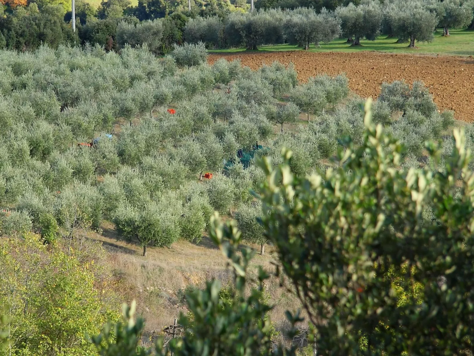 Gemütliches Studio im Erdgeschoss, mit Terrasse-Draußen