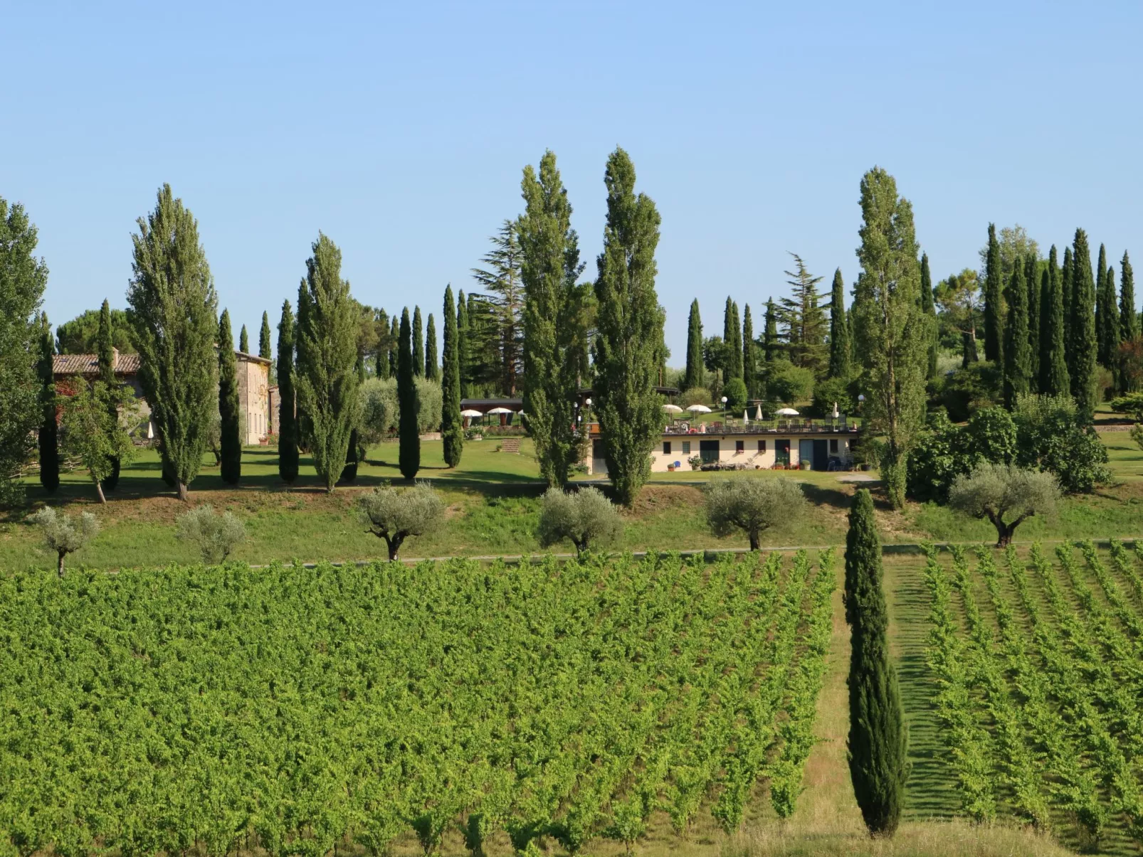 Wohnung in Sarteano mit Privatparkplatz-Draußen