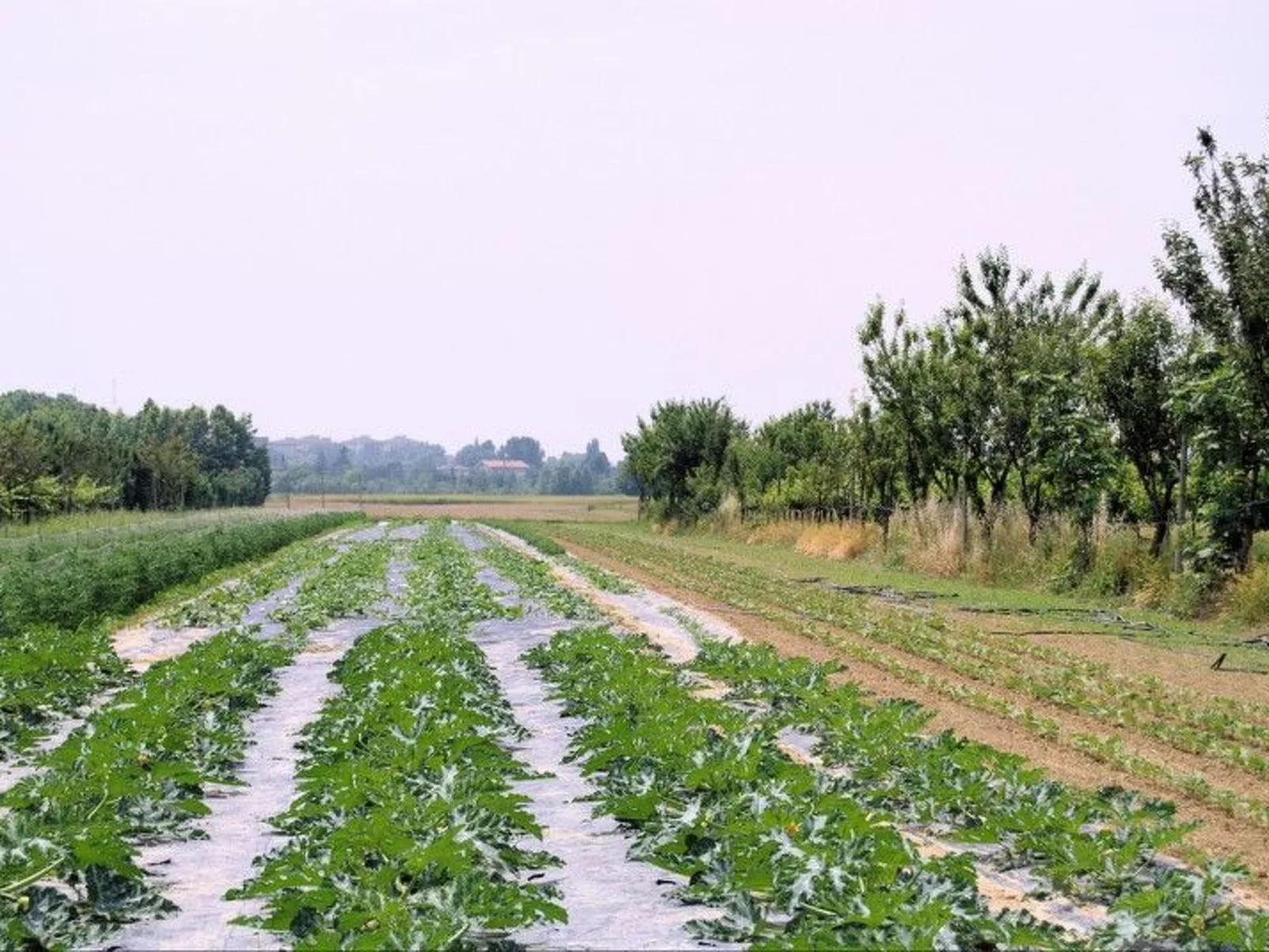 Schöne Wohnung in Venedig mit Garten und Grill-Outside