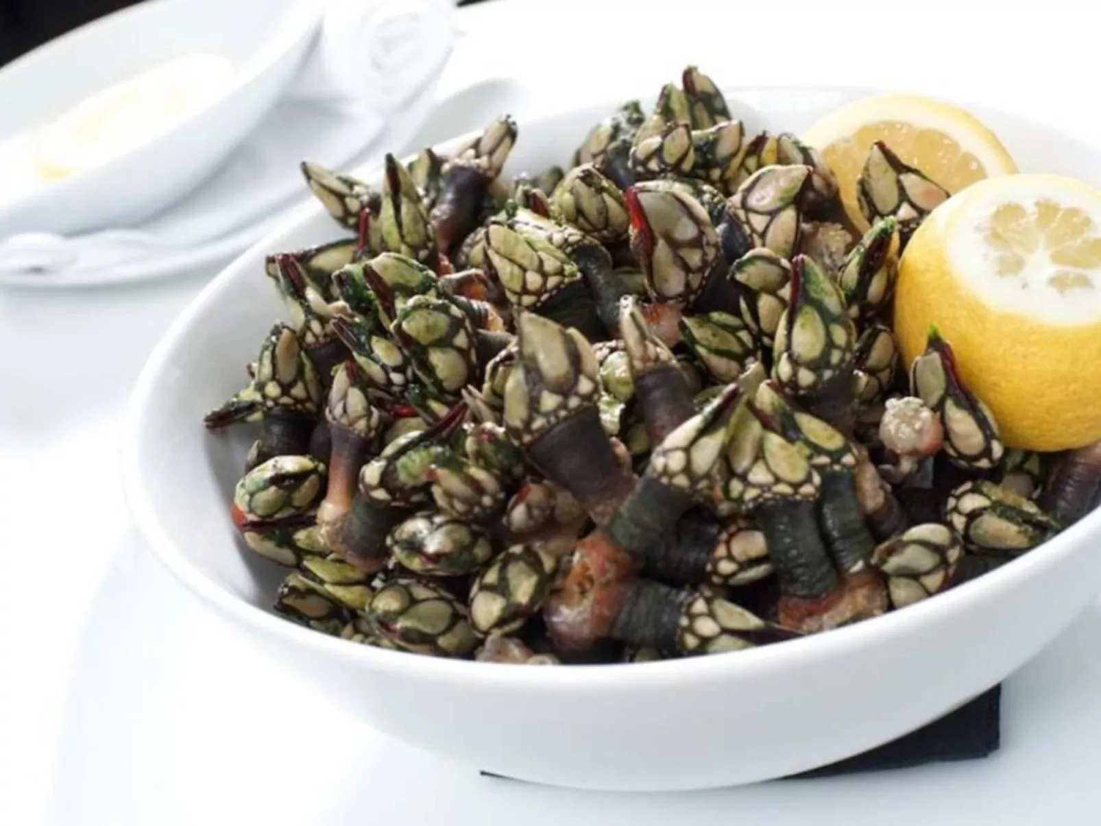 Der Ausguck-Image-tags.info