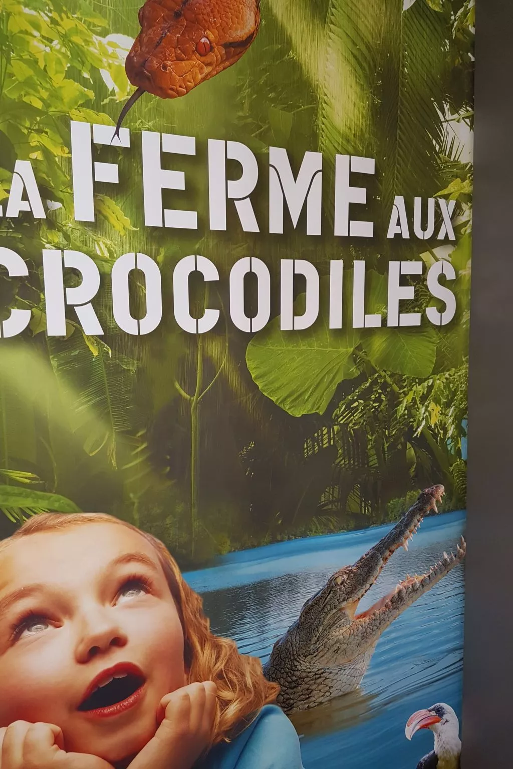 Les Colombes du Ventoux-Image-tags.info