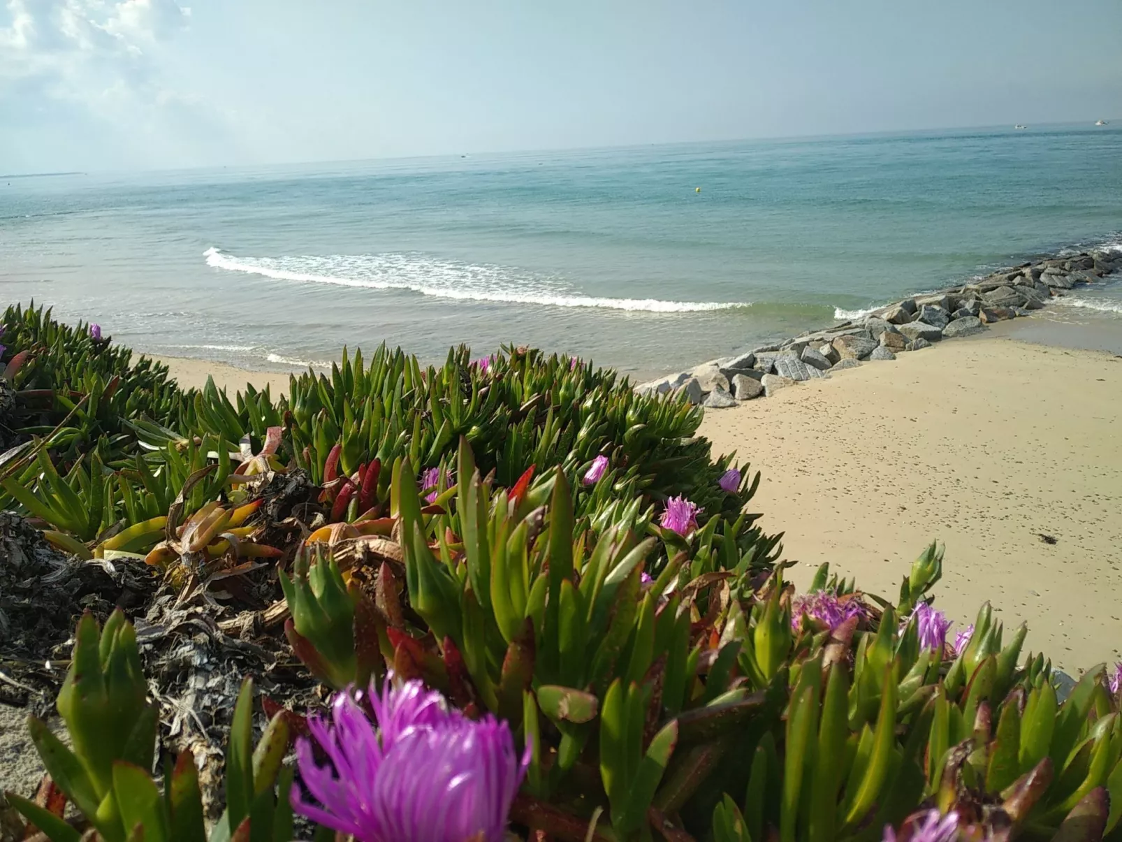 Le Bois aux Ecureuils (Eichhörnchenwald)-Outside