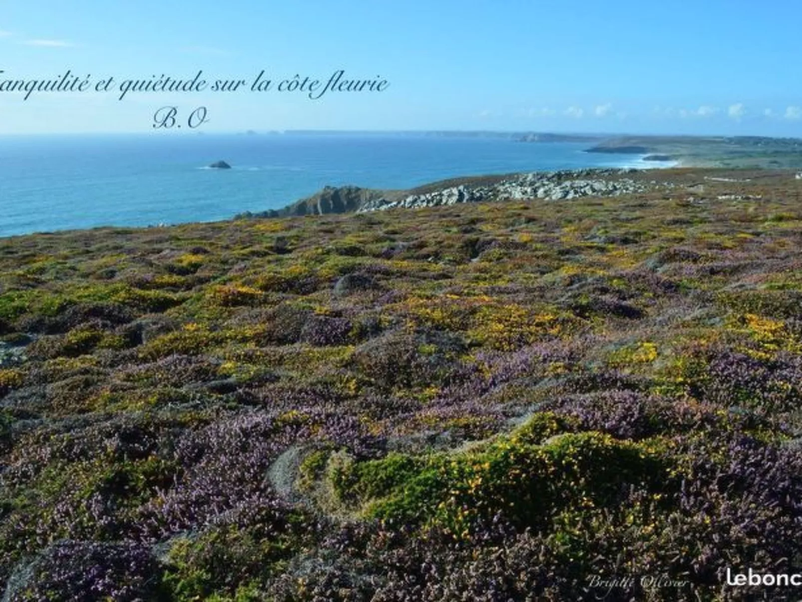 Mit eigenem Garten und Grill-Image-tags.info