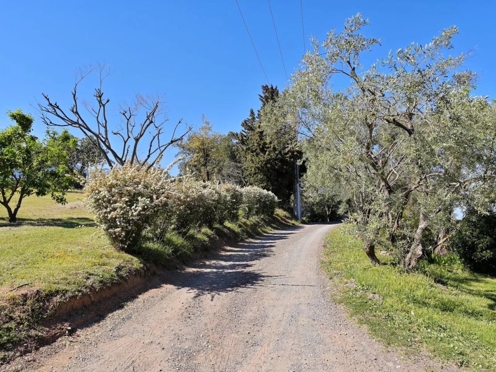 Weingut Punta della Guardia Ruhig und beschaulich-Outside