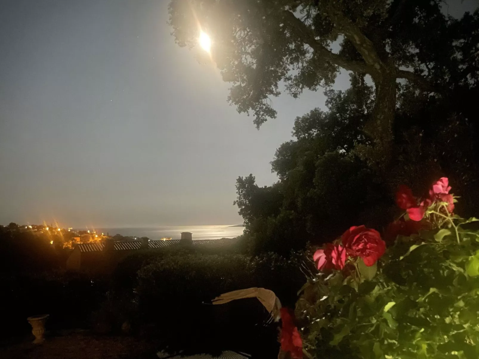 Les Palmiers-Draußen