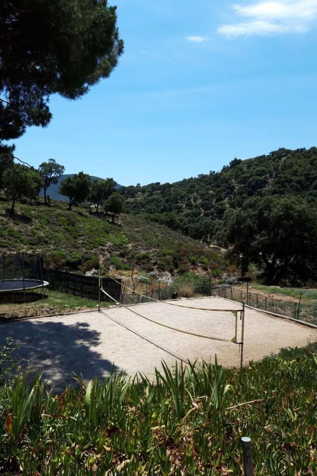 1.5 Zimmerhaus-Dehors