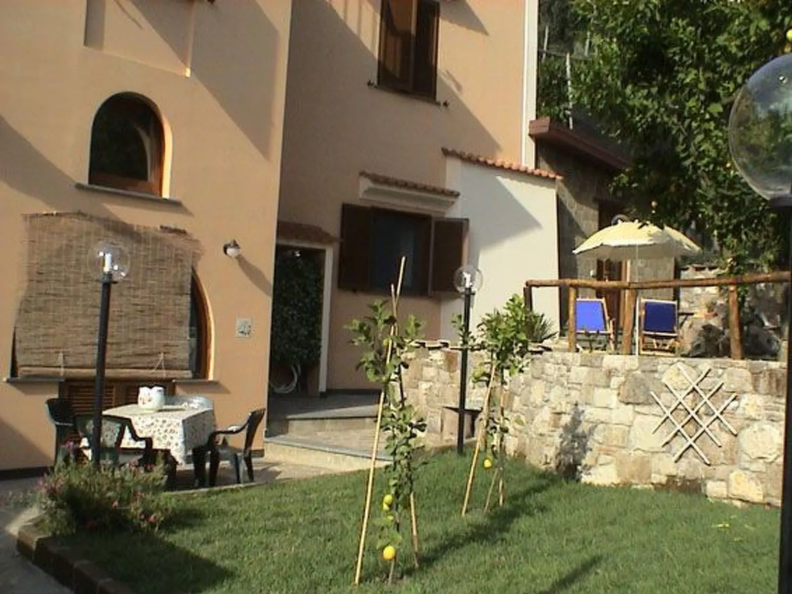 'Camelia-Image-tags.info