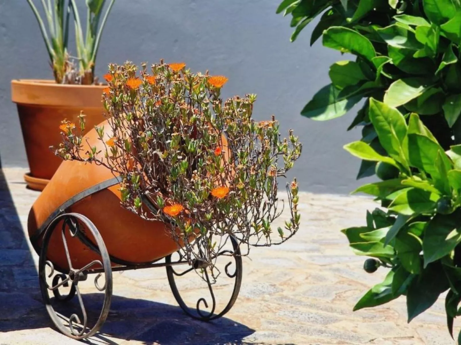 Villa "Casa Laranja" mit Bergblick-Image-tags.info