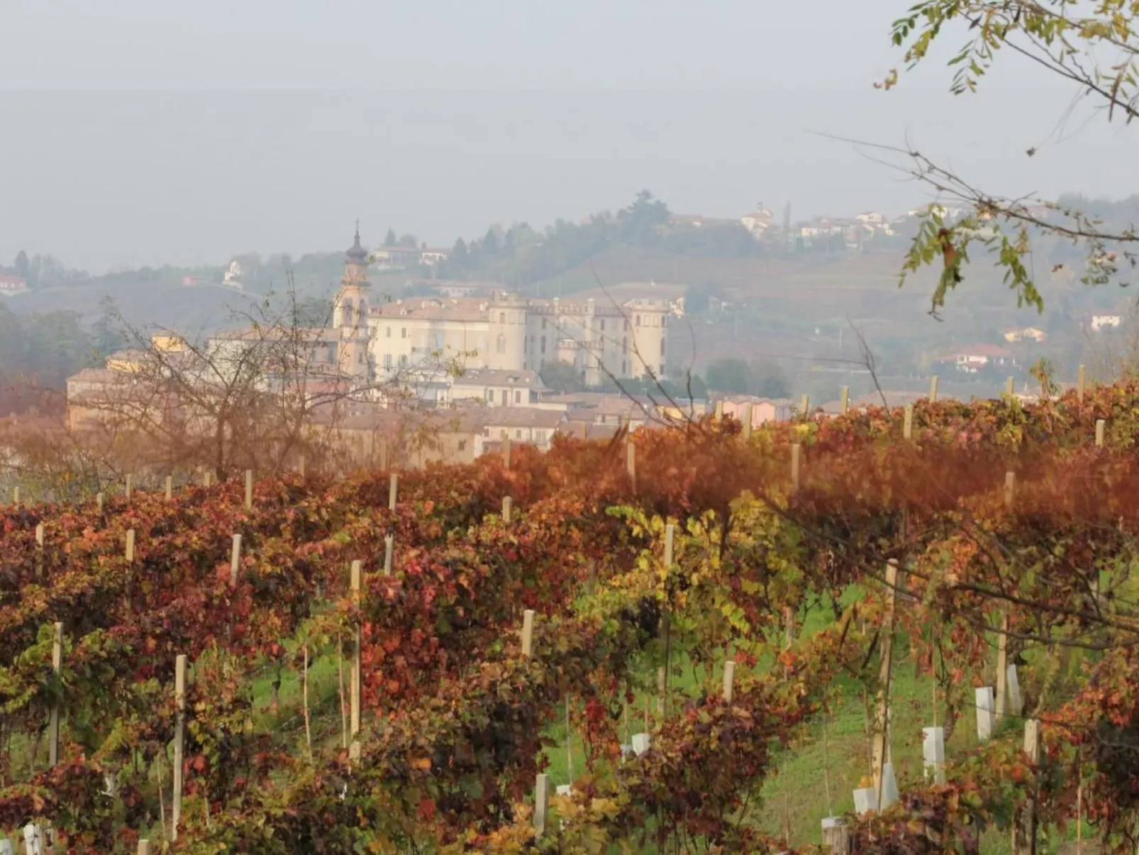 Grignolino' Wohnung mit Gemeinschaftspool-Outside